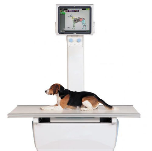 &Kappa;&tau;&eta;&nu;&iota;&alpha;&tau;&rho;&iota;&kappa;ό &Alpha;&kappa;&tau;&iota;&nu;&omicron;&lambda;&omicron;&gamma;&iota;&kappa;ό