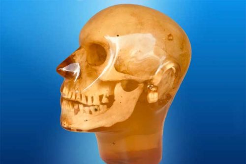 &Alpha;&nu;&theta;&rho;&omega;&pi;ό&mu;&omicron;&rho;&phi;&omicron; &omicron;&mu;&omicron;ί&omega;&mu;&alpha; &kappa;&rho;&alpha;&nu;ί&omicron;&upsilon;